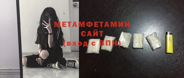 индика Елизово