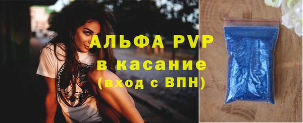 индика Елизово