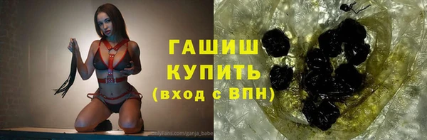 индика Елизово
