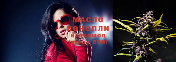 индика Елизово