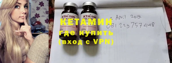 индика Елизово