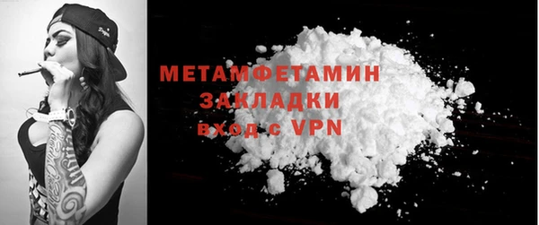 индика Елизово