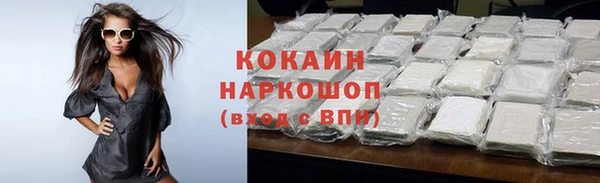 индика Елизово