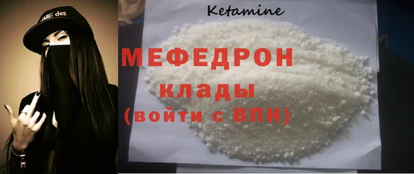 индика Елизово