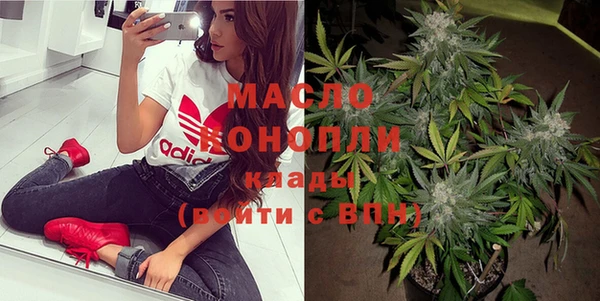 индика Елизово