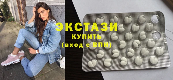 индика Елизово