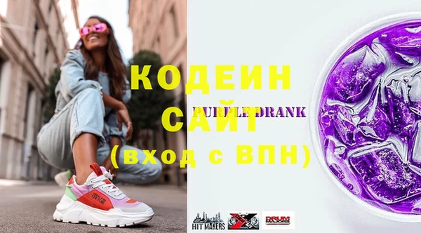 индика Елизово