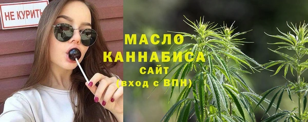индика Елизово