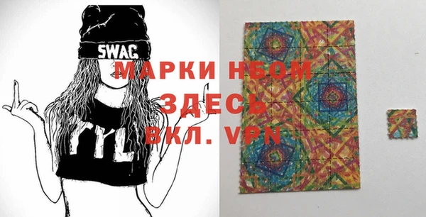индика Елизово