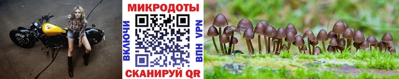 Псилоцибиновые грибы GOLDEN TEACHER  Купить закладки  Краснокамск 